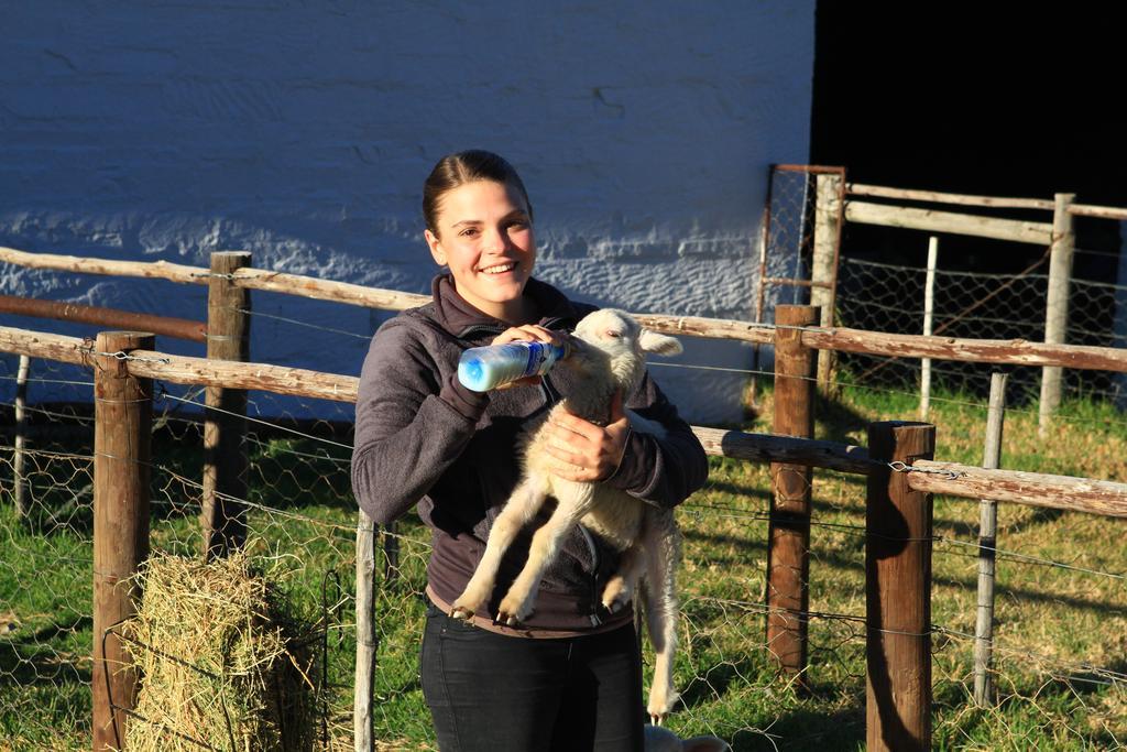 Ganora Guest Farm, Camping And Excursions Nieu-Bethesda Esterno foto